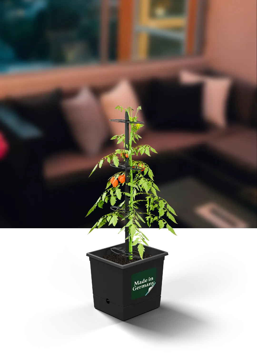 Aufbauanleitung Tomatentopf